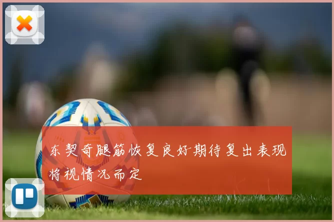 东契奇腿筋恢复良好期待复出表现将视情况而定