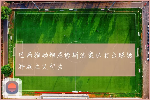 巴西推动维尼修斯法案以打击球场种族主义行为